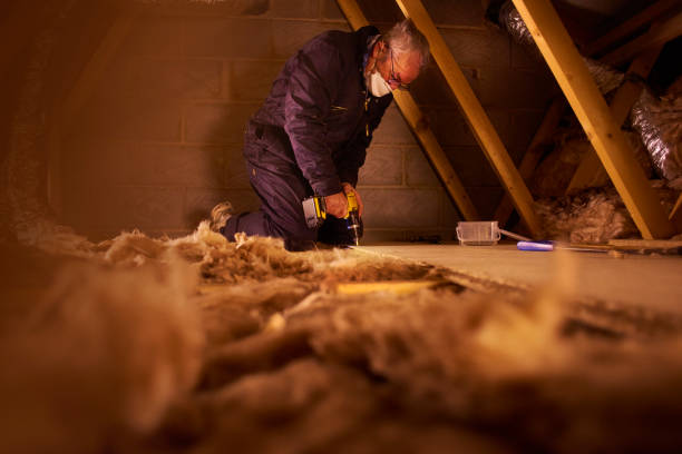 Best Insulation Maintenance and Repair in Pomeroy, OH